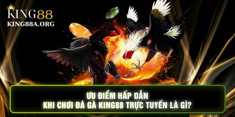 Ưu điểm hấp dẫn khi chơi đá gà king88 trực tuyến là gì?