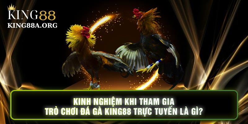 Kinh nghiệm khi tham gia trò chơi đá gà king88 trực tuyến là gì?