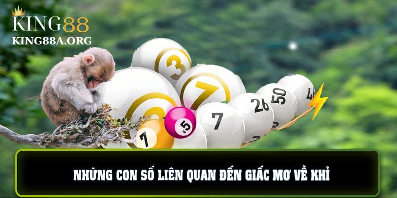 Những con số liên quan đến giấc mơ về Khỉ