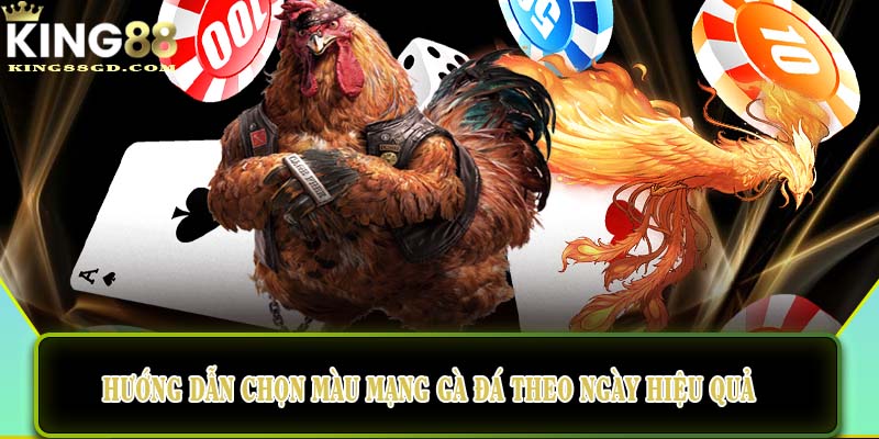 Hướng dẫn chọn màu mạng gà đá theo ngày hiệu quả
